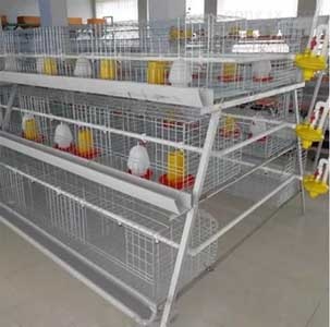 A Type Chicken Brooding Cage