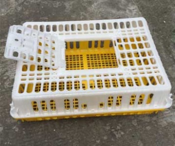 Plastic Poultrny Transport Cages For Chicken