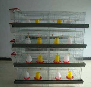 H Type Chicks Brooding Cages