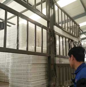  Plastic Poultrny Transport Cages For Chicken	