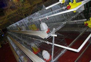  A Type Chicken Brooding Cage	